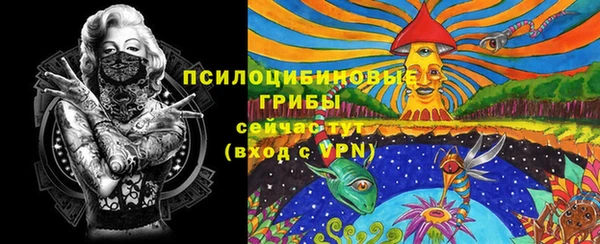 первитин Вяземский