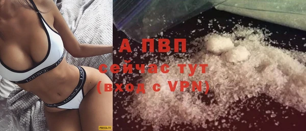 твердый Дмитриев