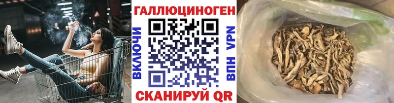 Галлюциногенные грибы прущие грибы  Кремёнки 